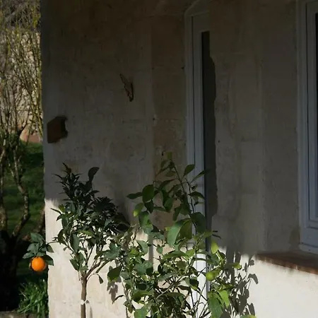 Le Mas Des Papillons Fargues  Buitenkant foto