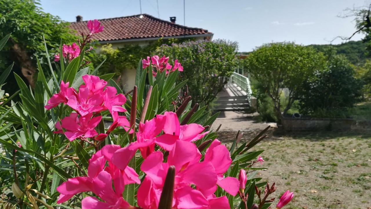 Maison De Des Papillons Hébergement de vacances Fargues (Lot)
